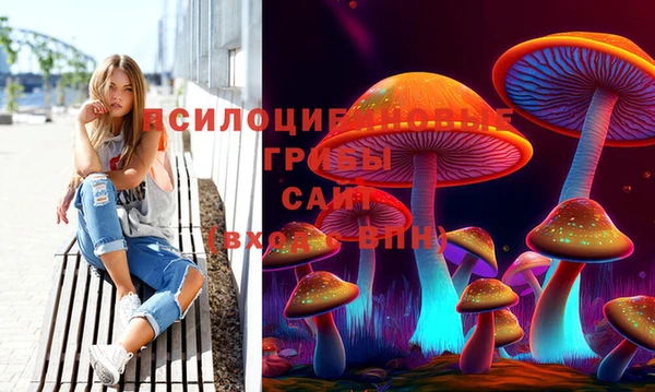 сатива Красноперекопск