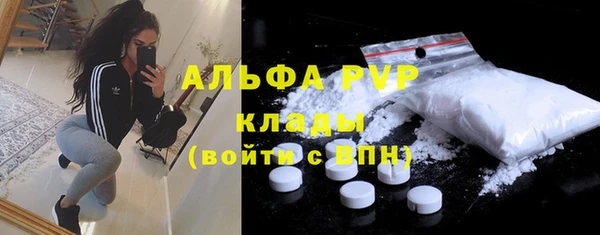 ПСИЛОЦИБИНОВЫЕ ГРИБЫ Краснослободск