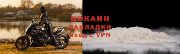ПСИЛОЦИБИНОВЫЕ ГРИБЫ Краснослободск