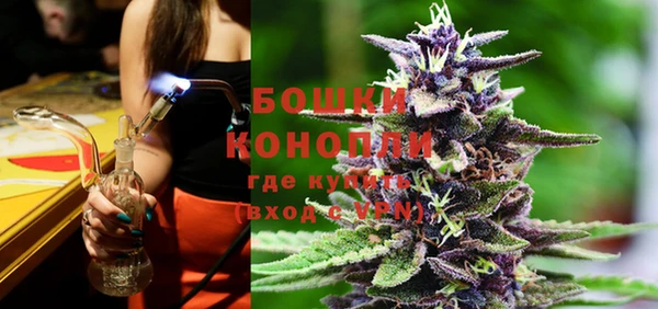 ПСИЛОЦИБИНОВЫЕ ГРИБЫ Краснослободск
