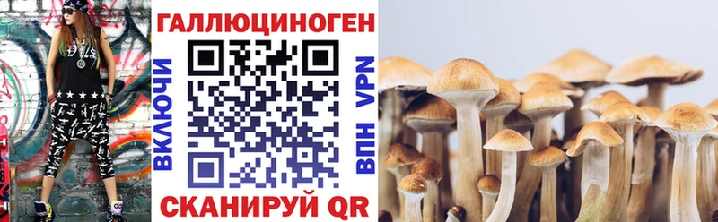Псилоцибиновые грибы мицелий  Купить  Камень-на-Оби 
